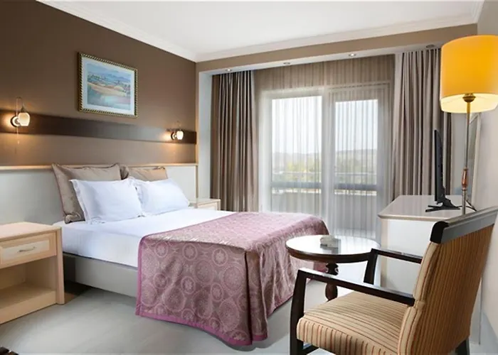 酒店 Asya Termal 5*