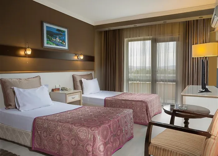 酒店 Asya Termal 5*