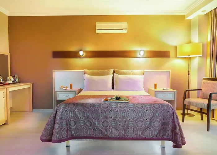 酒店 Asya Termal Pamukçu