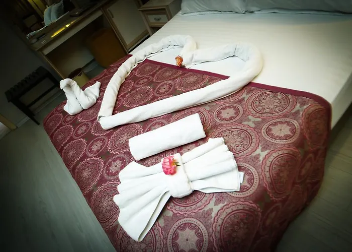 酒店 Asya Termal 5*