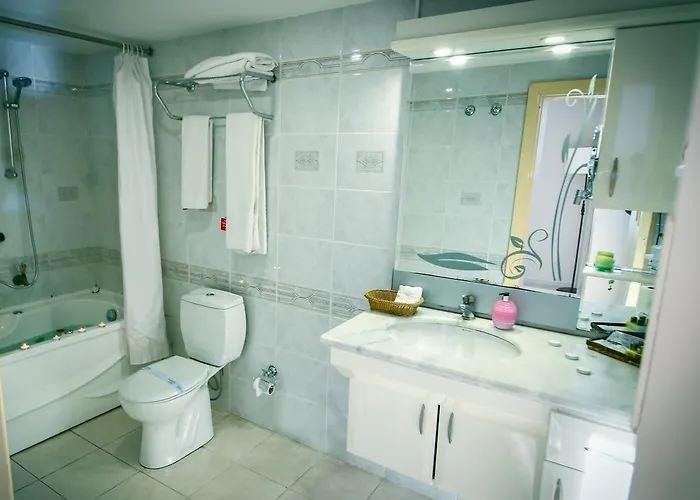 酒店 Asya Termal 5*