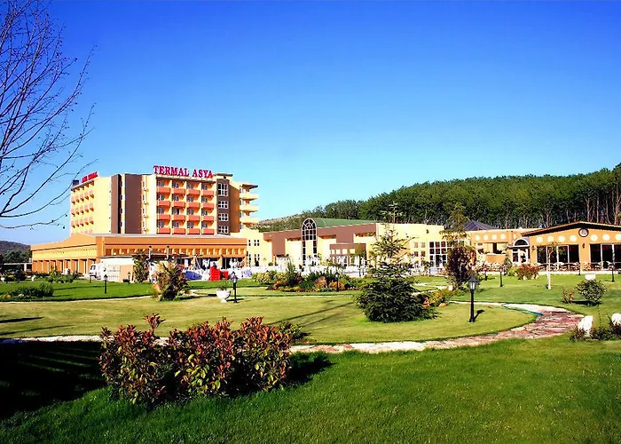 酒店 Asya Termal 5*